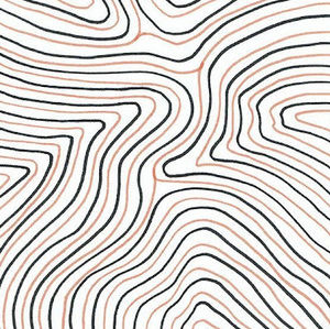 Meet your Posher, Cami